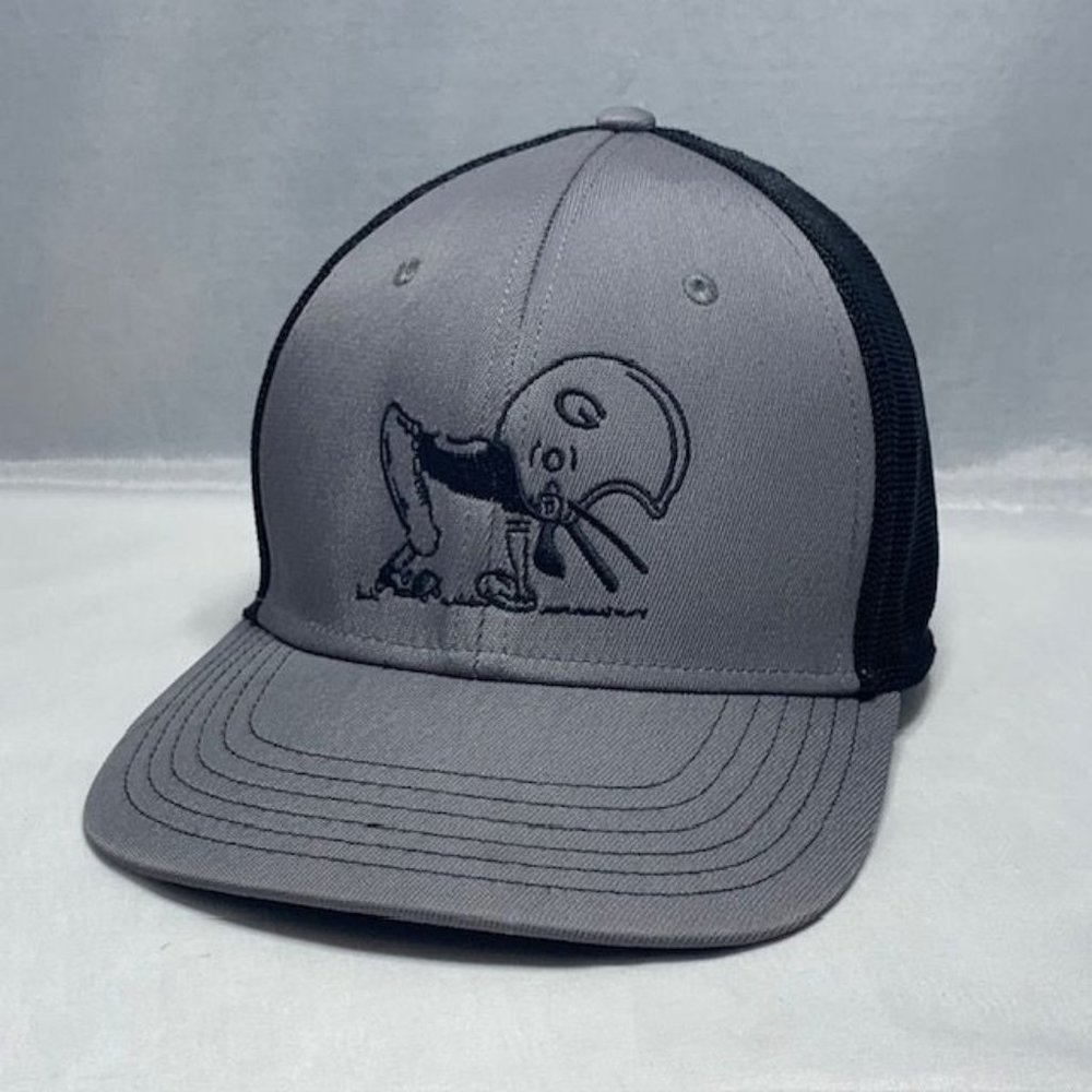 University of Georgia Bulldogs DAWGS M/L Stretch Fit Hat OC Sports SEC Football